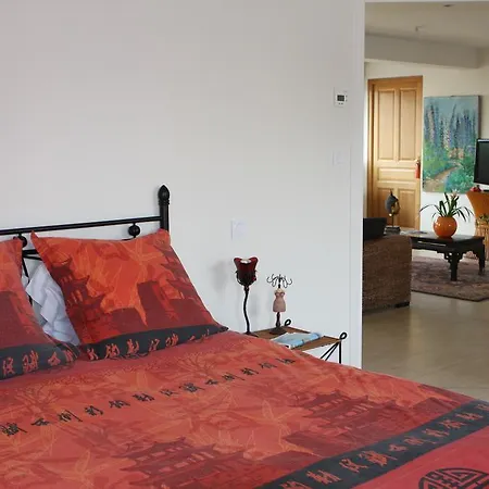 La Salamandre Apartment