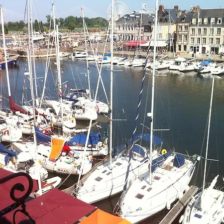 La Salamandre Daire *